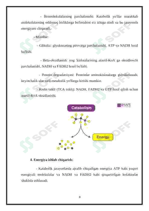 Metabolizm jarayonida energiya hosil bo'lishi va sarflanishi 8