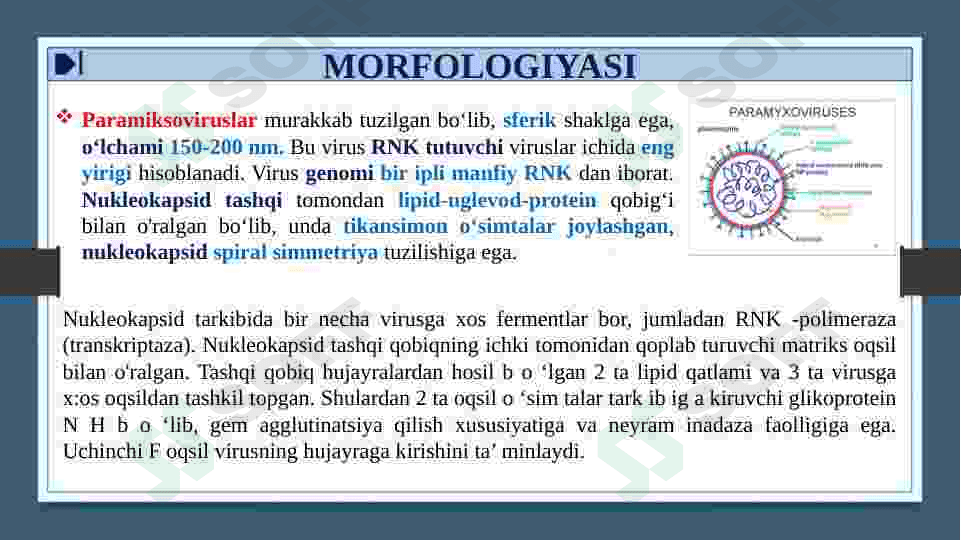 RNK SAQLOVCHI VIRUSLAR KELTIRIB CHIQARUVCHI YUQUMLI KASALLIK QO’ZG’ATUVCHILARI. ORTOMIKSOVIRUSLAR, PARAMIKSOVIRUSLAR. XARAKTERISTIKA VA LABAROTORIYA TASHXISI. 8
