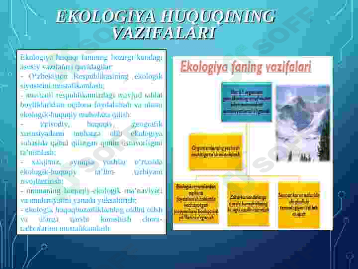 EKOLOGIYA VA HUQUQ. TABIAT MUHOFAZASINING HUQUQIY ASOSLARI, UNING MAQSAD VA VAZIFALARI 8