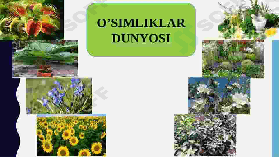 Biosferaning tarkibi 8
