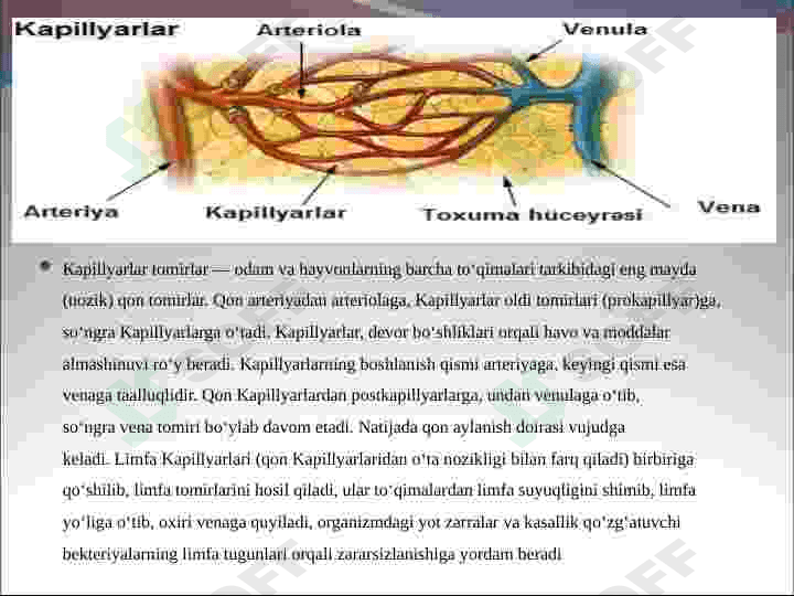Yurak,Periferik qon aylanishi va uning kasalliklari 8