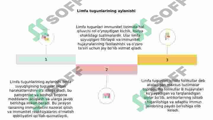 Limfatik tugunlar 8