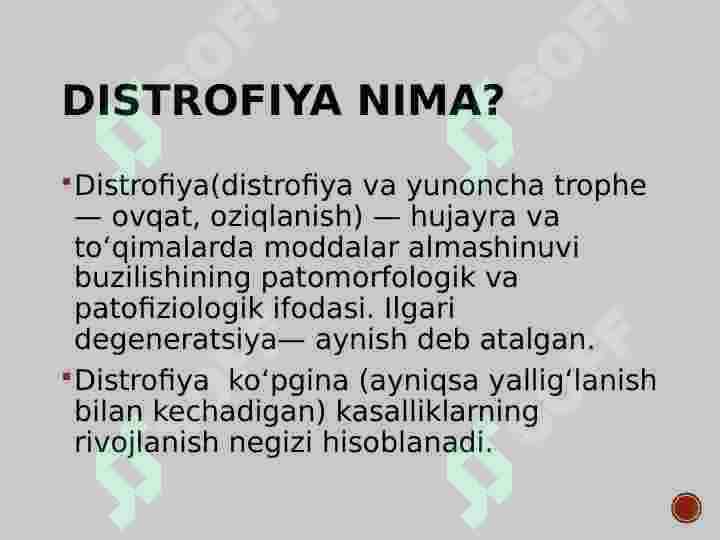 DISTROFIYA 3