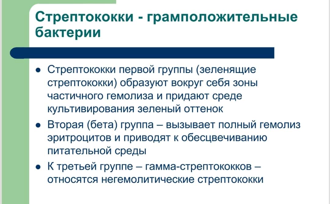 Современный взгляд на методы диагностики и принципы терапии А-стрептококковой инфекции ротоглотки 1