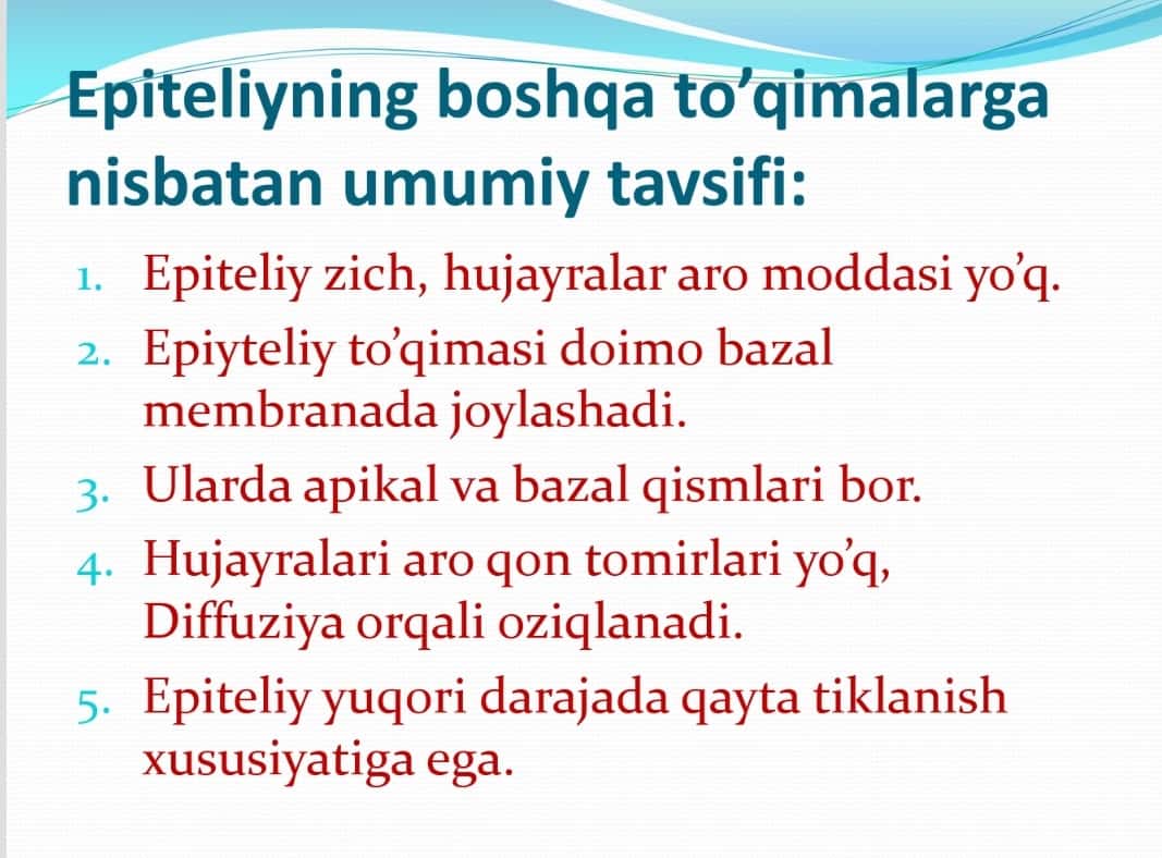 Epiteliy to'qimasi va bezlar 1