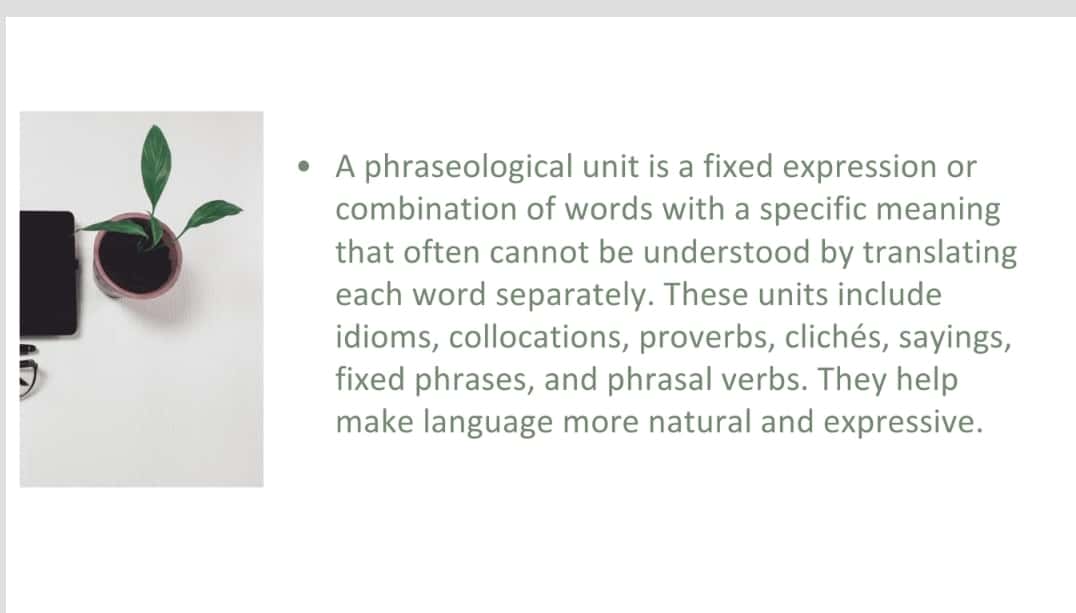 Phraseological problems of translation 1