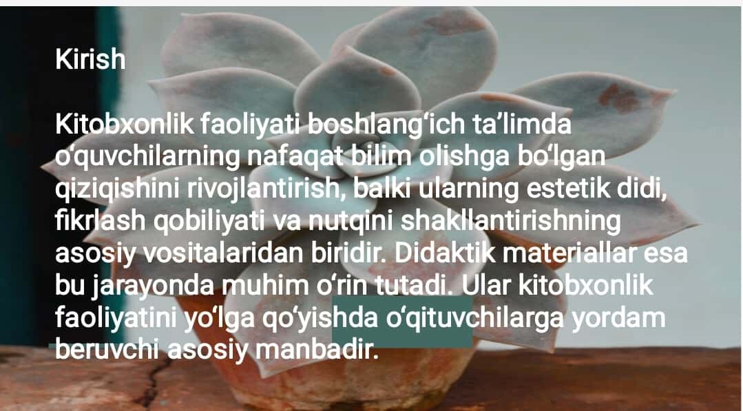 Mavzu: Kitobxonlik faoliyatini shakllantirishda didaktik materiallarning ahamiyatini tahlil qilish 1
