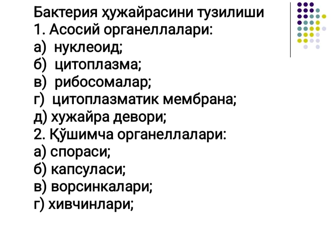 Микроорганизмларнинг   ултраструктураси ва  химиявий  таркиби, улчамлари. Микробиологик  амалиётдаги  ахамияти. 1