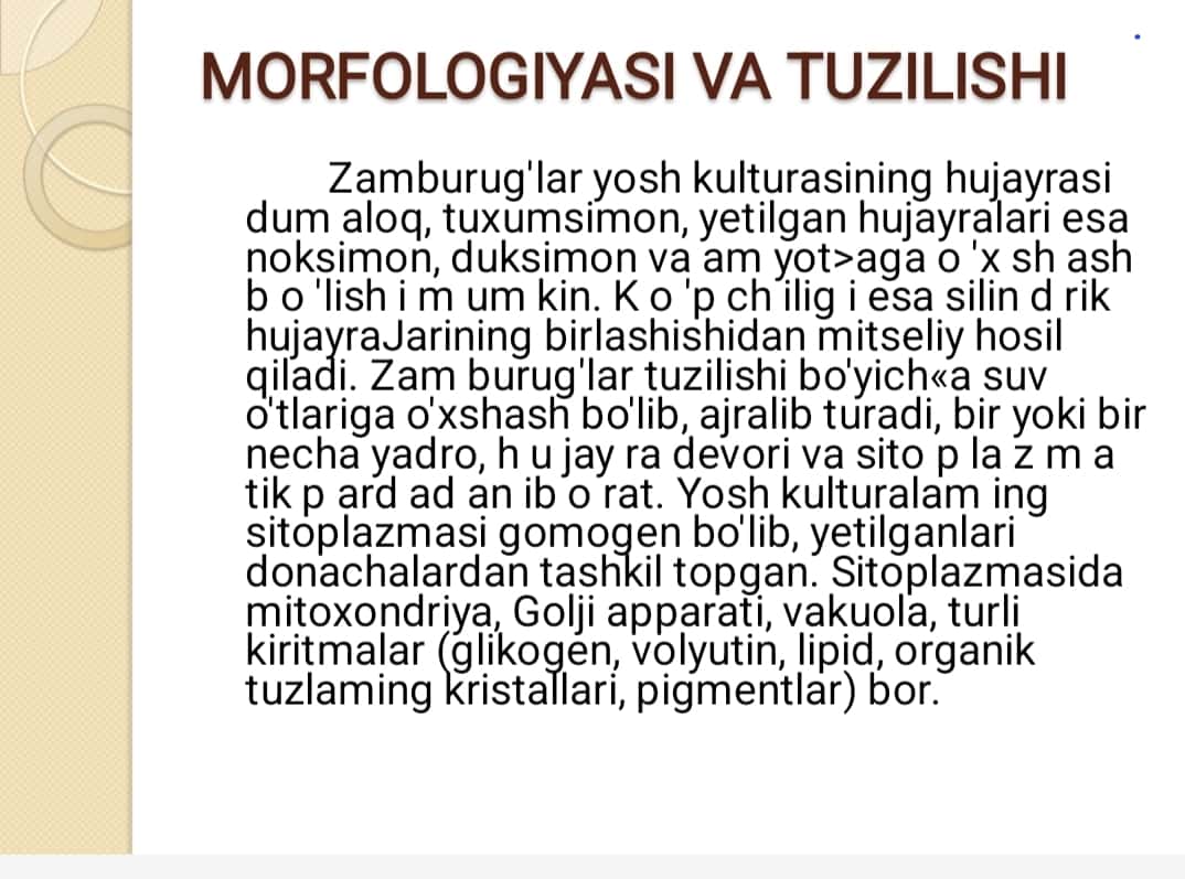 Zamburug’lar sodda jonivorlar ularning morfologiyasi strukturasi va ularni mikroskopik o’rganish usullari 1