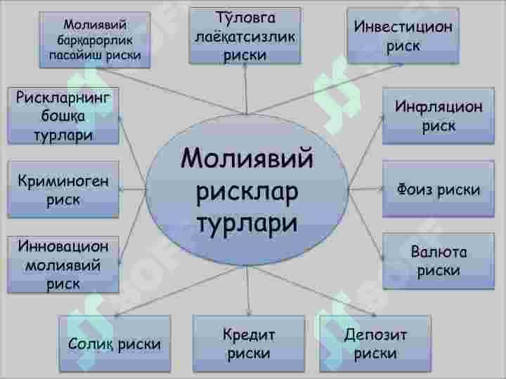 Moliyaviy risklarni boshqarish 3