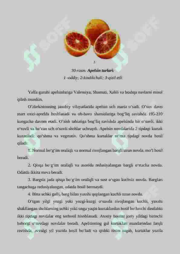 Issiqxonalarda apelsin o'simligini yetishtirish texnologiyasi 3
