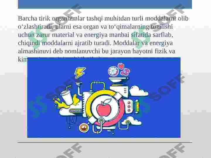 Moddalar almashinuvi. Metabolizm.Tirik organizmlardagi plastik almashinuvi 2