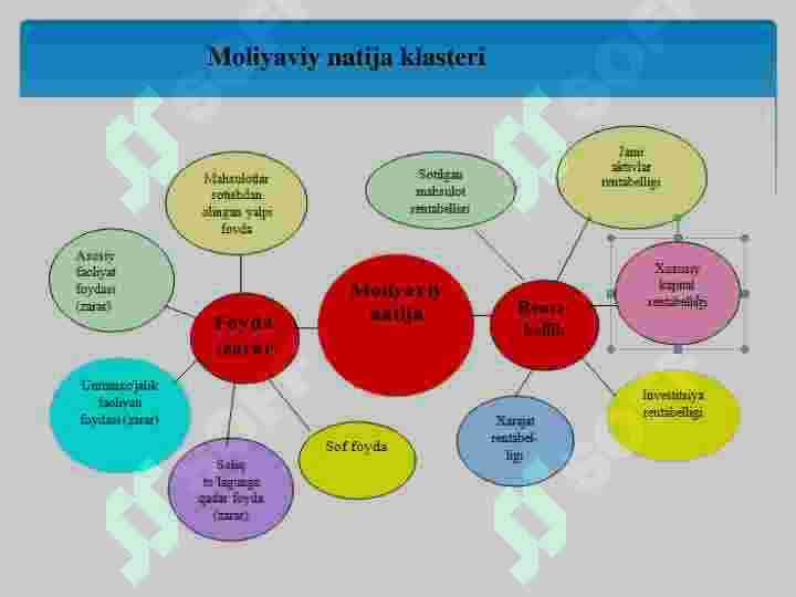 Molyaviy natijalar va rentabellik tahlili 7