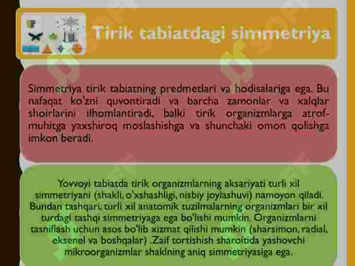 TABIATDAGI SIMMETRIYA 4