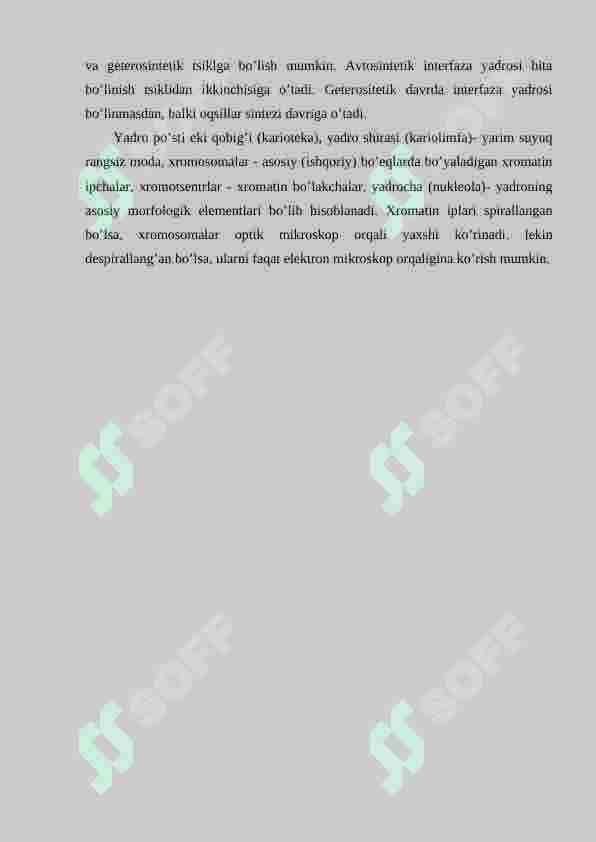 YADRO MEMBRANASI VA PORALARNI (TESHIKCHALARNI) TUZILISHI. YADROCHANING SXEMATIK TUZILISHI. 2