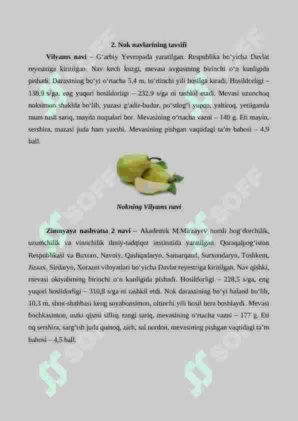 Nok yetishtirishning agrotexnik xususiyatlari 7