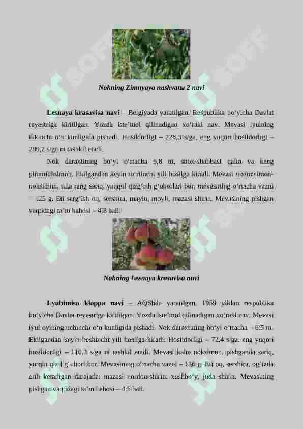 Nok yetishtirishning agrotexnik xususiyatlari 8