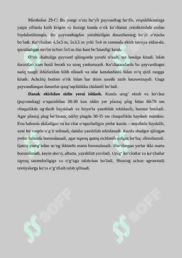 O'rik yetishtirishning agrotexnik xususiyatlari 4