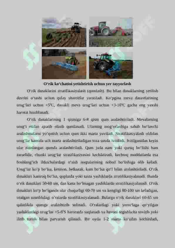 O'rik yetishtirishning agrotexnik xususiyatlari 5