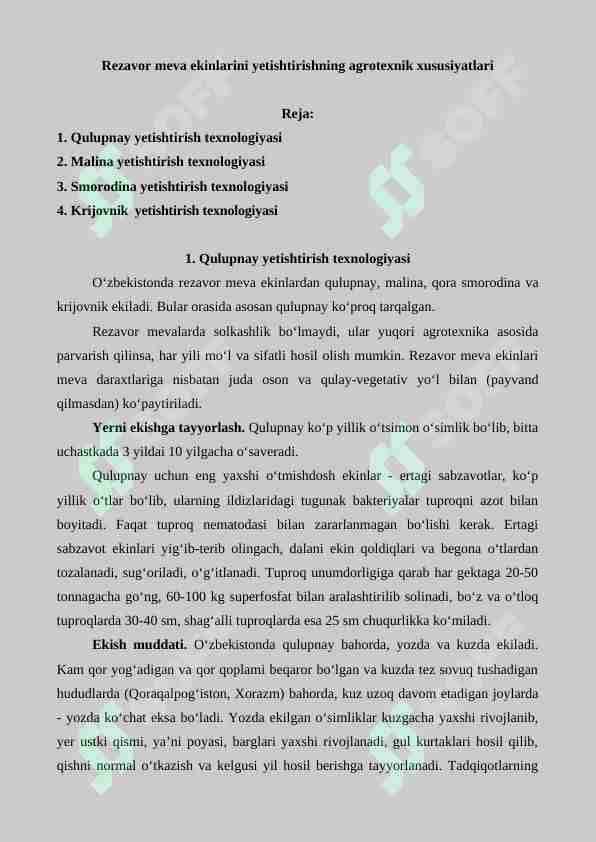 Rezavor meva ekinlarini yetishtirishning agrotexnik xususiyatlari
