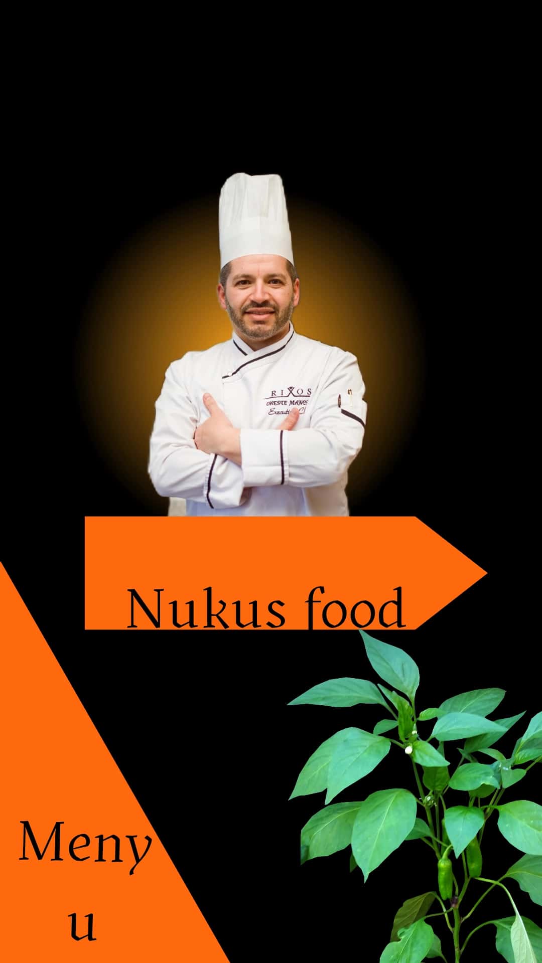 Menyu(restoran va shxonalarga) 1