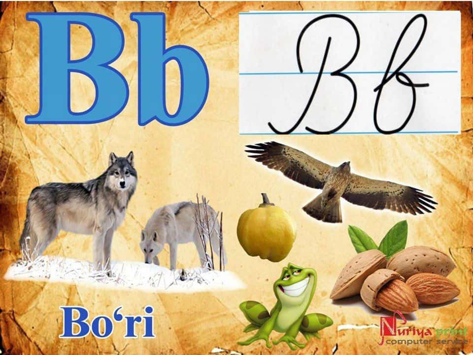 Oʻzbek alifbosi 2