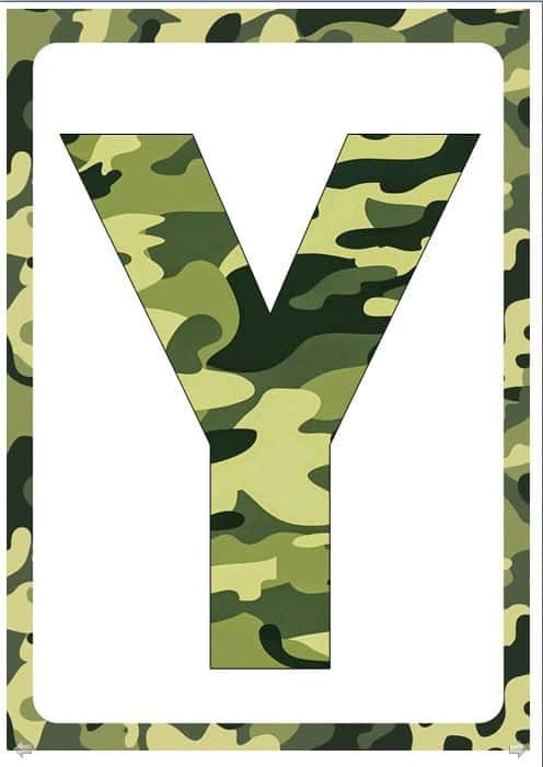Yosh askar tadbiri 2
