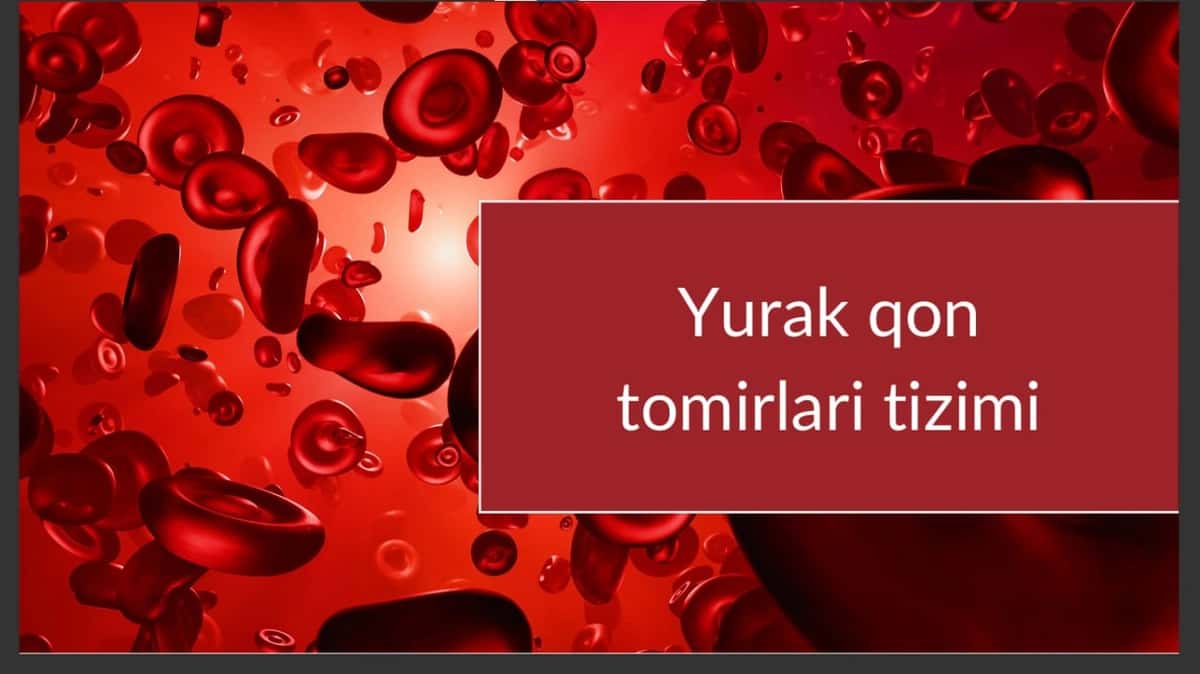 Yurak qon tomirlar tizimi 1