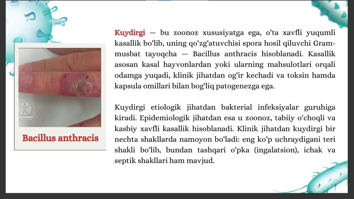 Kuydirgi O'lat Brusellez va Vabo qo'zg'atuvchilari 2