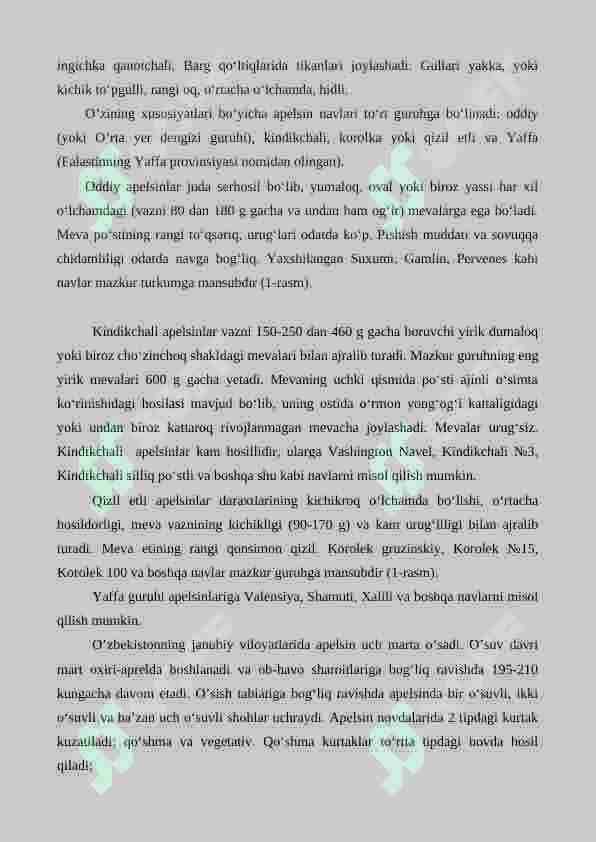 Sitrus mevali o’simliklarning ahamiyati, biologik xususiyatlari va  navlarining 5