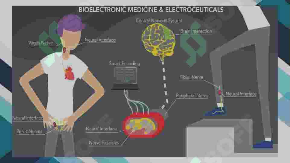 Bioelektronika 3