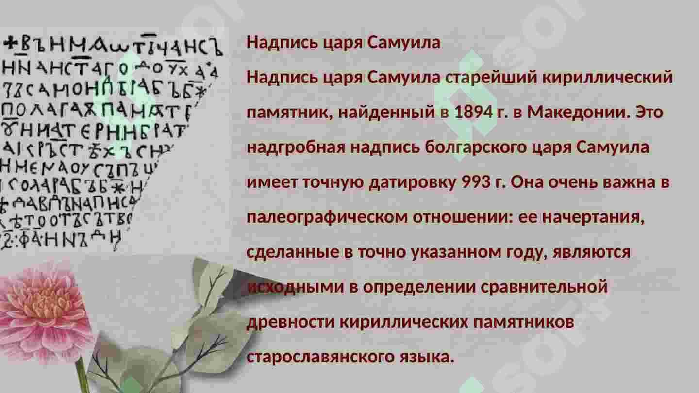 Первые письменные памятники 6