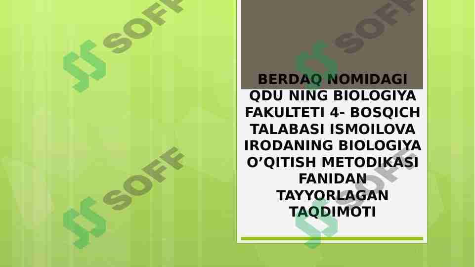 Maktab tajriba maydonchalarida sinfdan tashqari ishlarni rejalashtirish yoʻllari