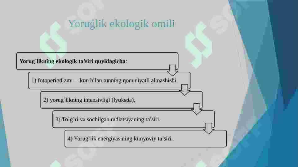 Muhit va ekologik omillar 8