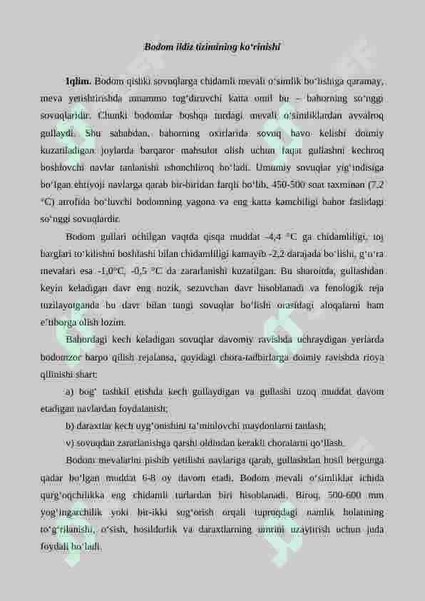 Bodom yetishtirishning agrotexnik xususiyatlari 4