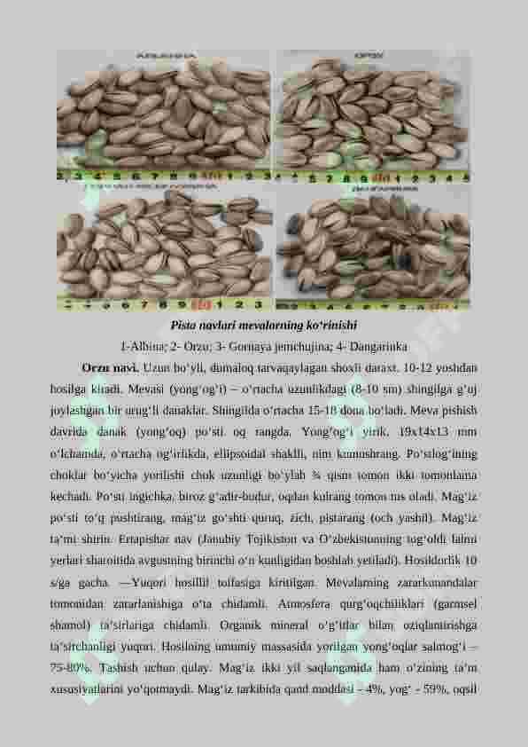 Pista, pekan va funduk yetishtirishning agrotexnik xususiyatlari 4