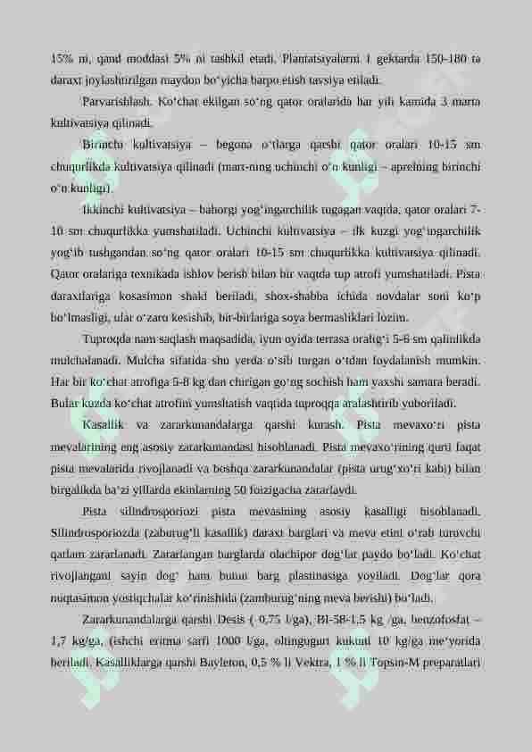 Pista, pekan va funduk yetishtirishning agrotexnik xususiyatlari 6