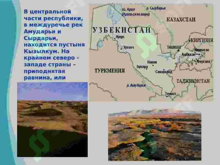 Природа Узбекистана 4