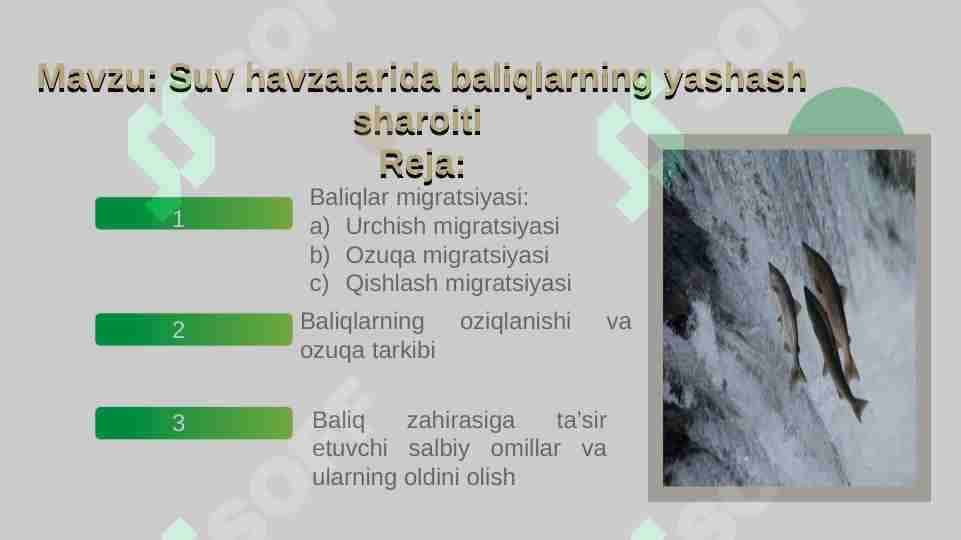 Suv havzalarida baliqlarning yashash sharoiti