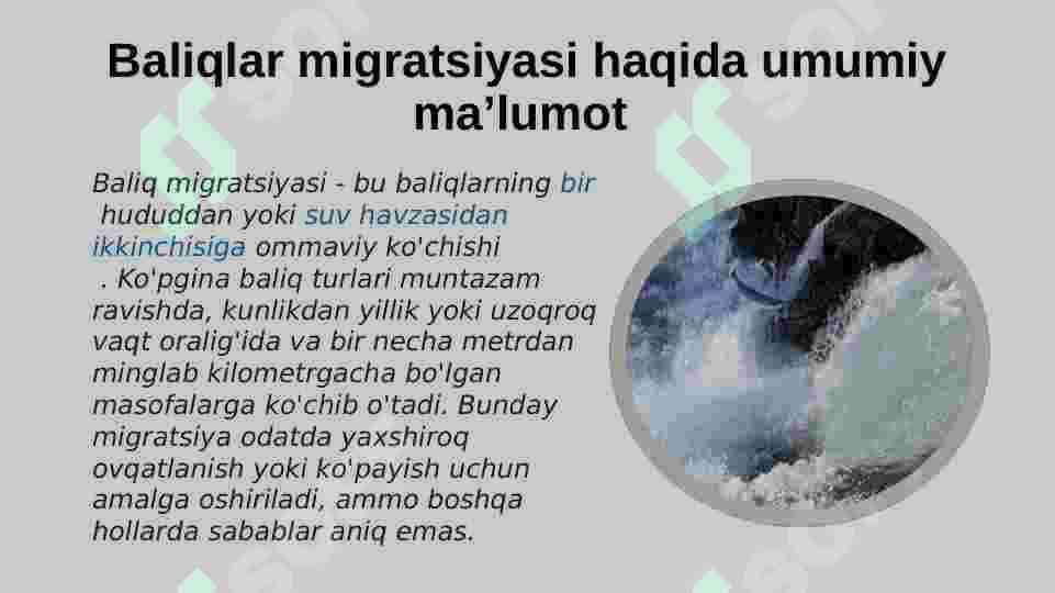Suv havzalarida baliqlarning yashash sharoiti 2