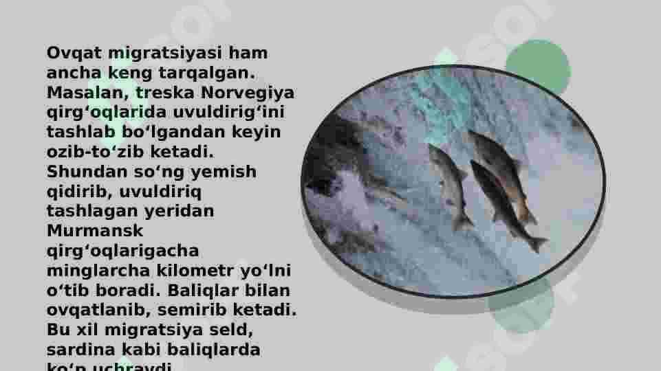 Suv havzalarida baliqlarning yashash sharoiti 4