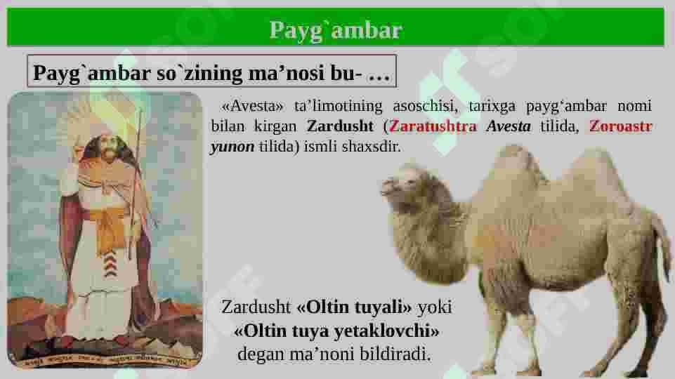 Avesta- qadimgi tarixni o‘rganishda noyob manba 7