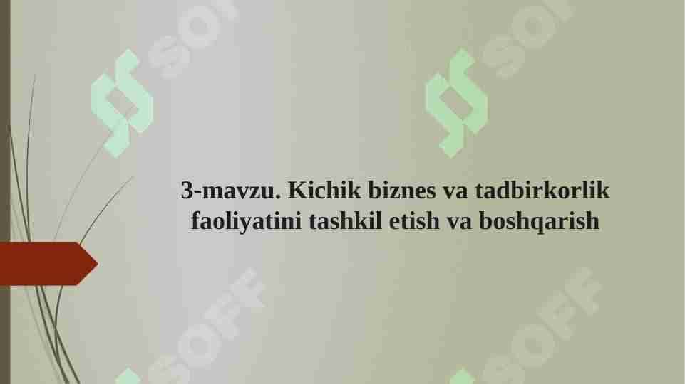 Kichik biznes va tadbirkorlik faoliyatini tashkil etish va boshqarish