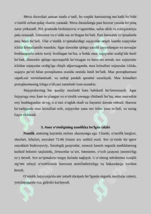 Anor o'simligining tashqi muhit omillariga boʻlgan talabi 3