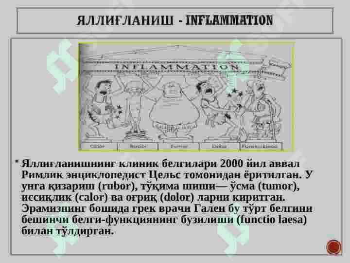 Яллиғланиш ва репаратця. Ўткир ва сурункали яллиғланиш. Яллиғланиш медиаторлари. Яллиғланишнинг морфологик белгилари ва оқибатлари 3