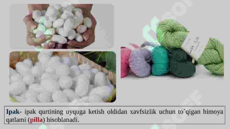 Buyuk ipak yo‘li 7