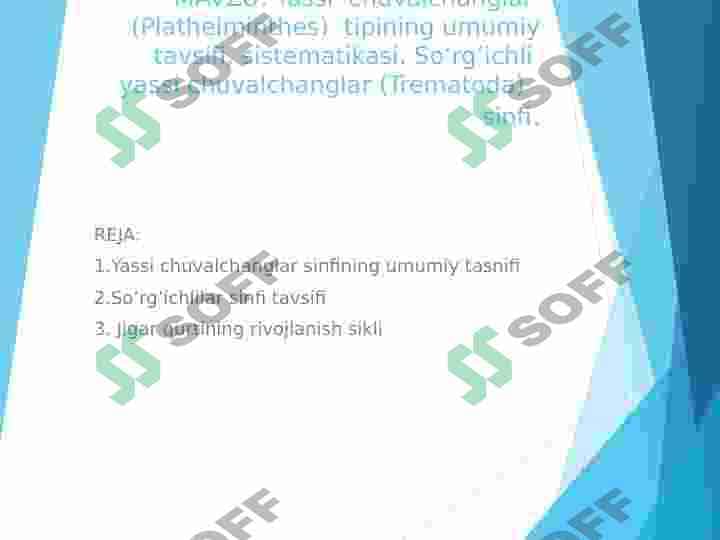 Yassi  chuvalchanglar  (Plathelminthes)  tipining umumiy tavsifi, sistematikasi. So‘rg‘ichli  yassi chuvalchanglar (Trematoda)   sinfi 2