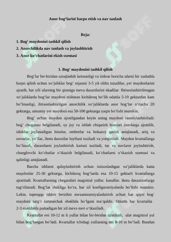 Anor bog‘larini barpo etish va nav tanlash
