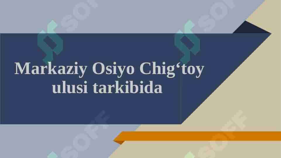 Markaziy Osiyo Chig‘toy ulusi tarkibida