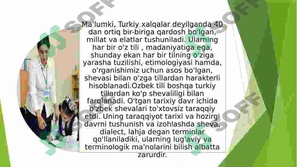 Ona tili darslarida shevaga xos so'zlar ustida ishlash(ona tili darslarida dialiktal xotolar ustida ishlash) 2